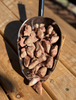 Balto Bites Freeze-Dried Chicken Hearts